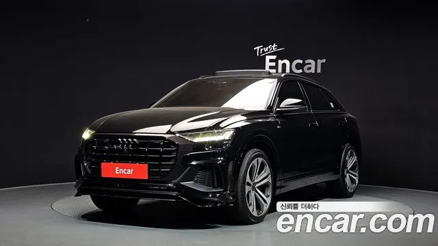 Audi Q8 (4M) 55 TFSI Premium