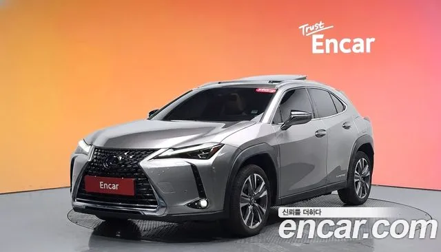 Lexus UX300e 2WD