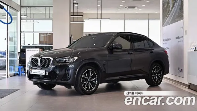 BMW X4 (G02) xDrive20i M