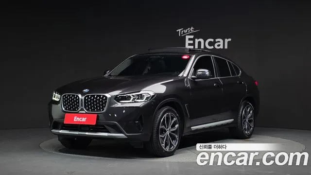 BMW X4 (G02) xDrive20i xLine