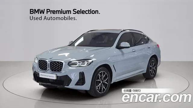 BMW X4 (G02) xDrive20i M