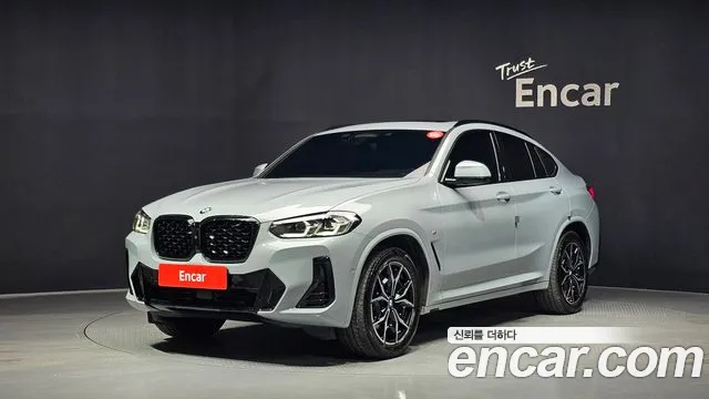 BMW X4 (G02) xDrive20i M