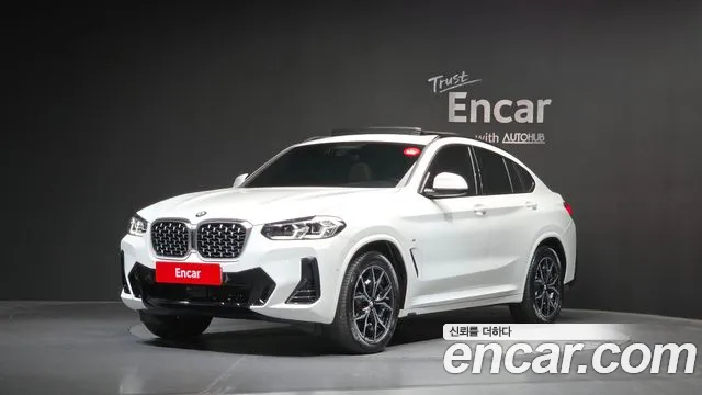 BMW X4 (G02) xDrive20d M