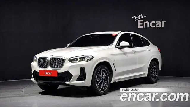 BMW X4 (G02) xDrive20i M