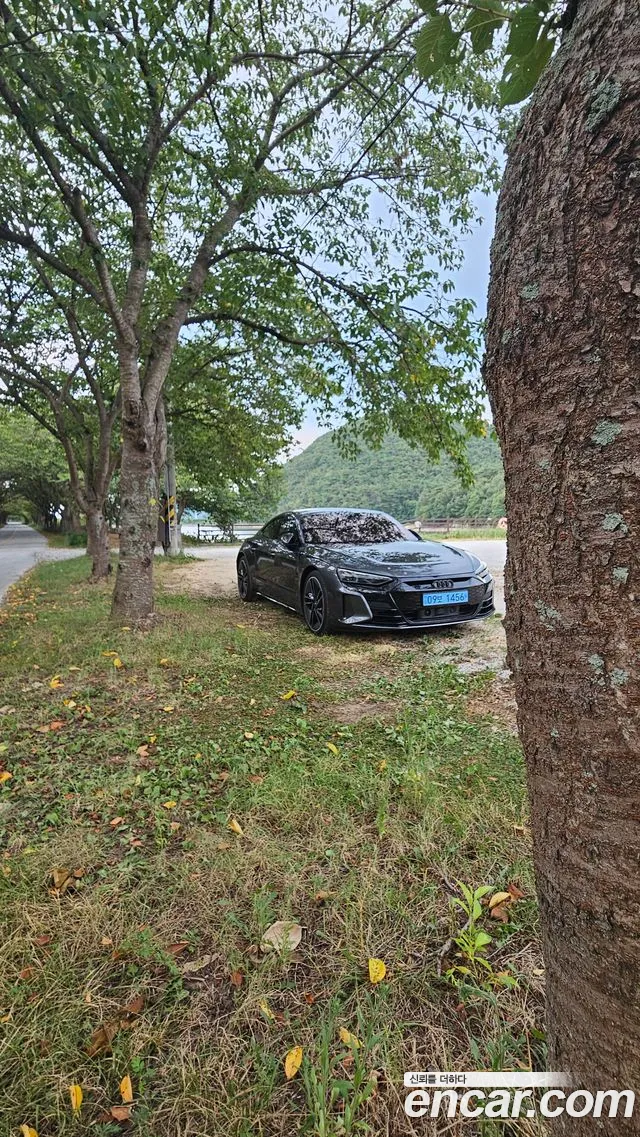 Audi RS e-tron GT GT RS