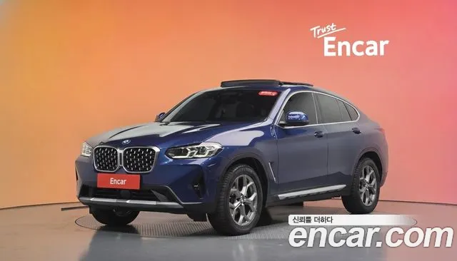 BMW X4 (G02) xDrive20 i xLine